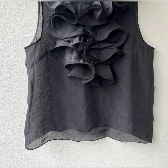 H&M | Sheer Ruffle Sleeveless Top - Picture 4 of 16